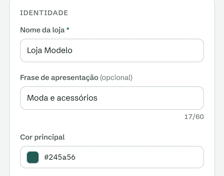 Painel da Vitrou, tela Aparência: nome da loja, frase de apresentação e cor principal de uma loja de moda