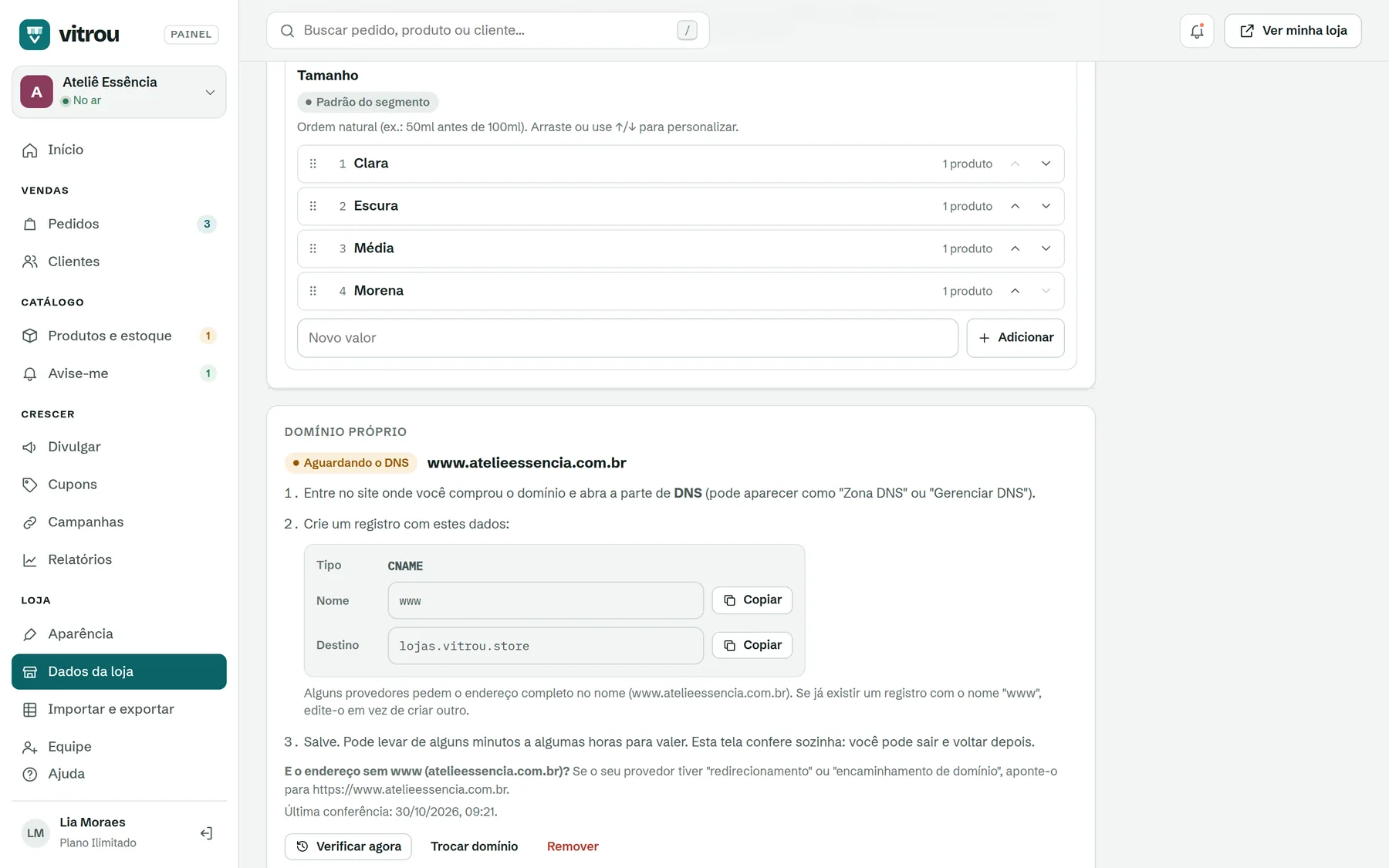 Domínio próprio aguardando o DNS, com o registro CNAME a criar